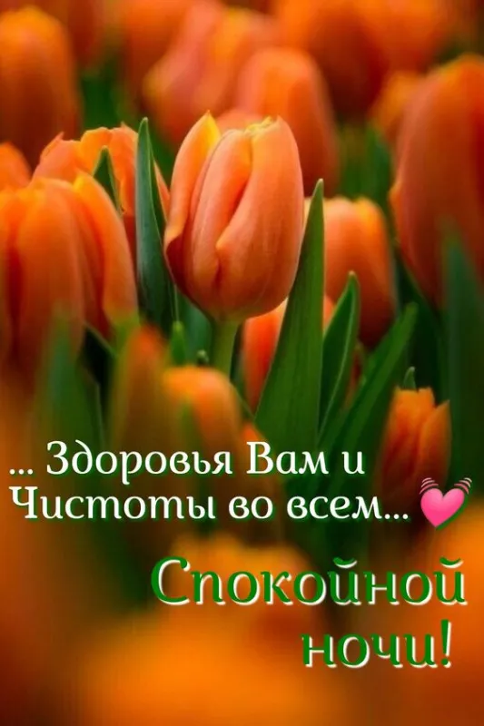 Красивые картинки Доброй ночи. Доброй ночи: картинки с пожеланиями