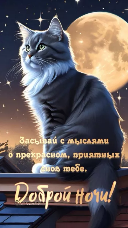 Зимние картинки "Доброй ночи". Картинки с пожеланиями Доброй зимней ночи
