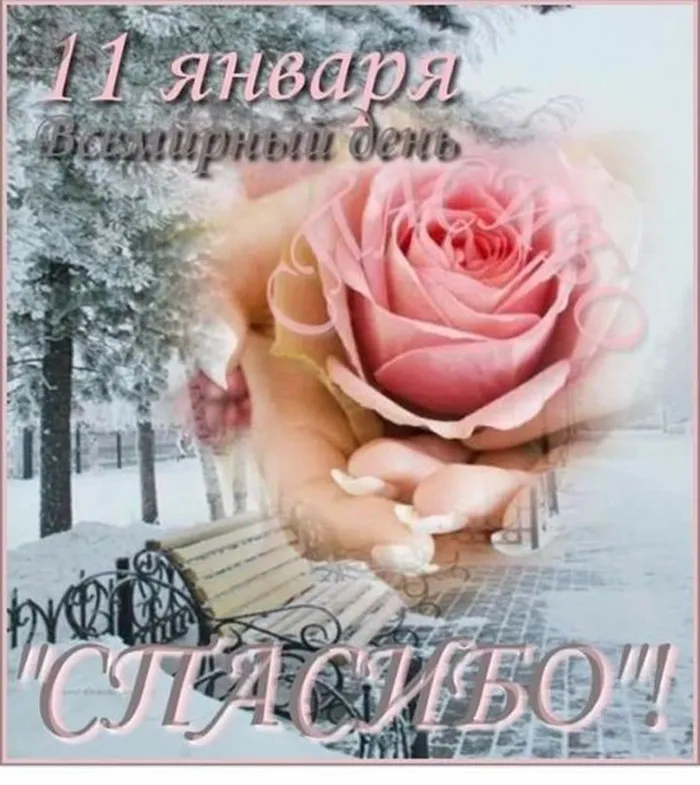 Картинки на Международный день спасибо — красивые и прикольные. Красивые картинки с Международным днем спасибо