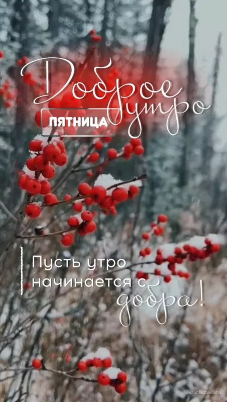 С Пятницей — картинки красивые. Красивые картинки Доброе утро пятницы