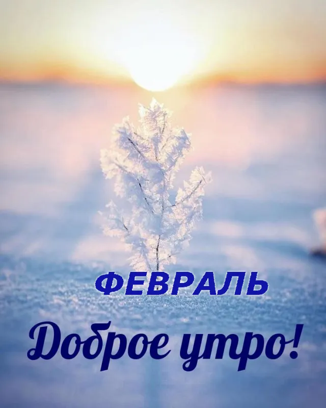 Красивые картинки Доброе утро февраля. Доброе утро февраля: красивые картинки
