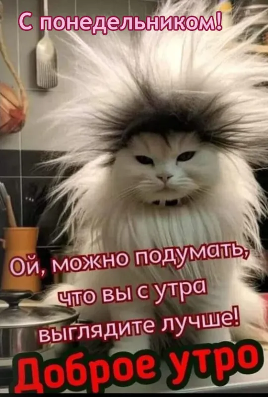 Картинки Доброго понедельника. Утро Доброго понедельника - позитивные картинки
