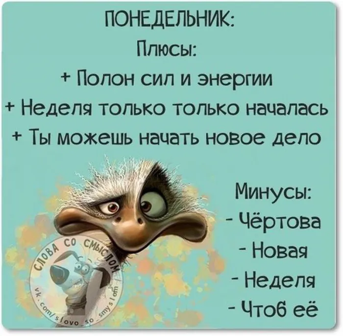 Картинки Доброго понедельника. Доброго понедельника прикольные картинки