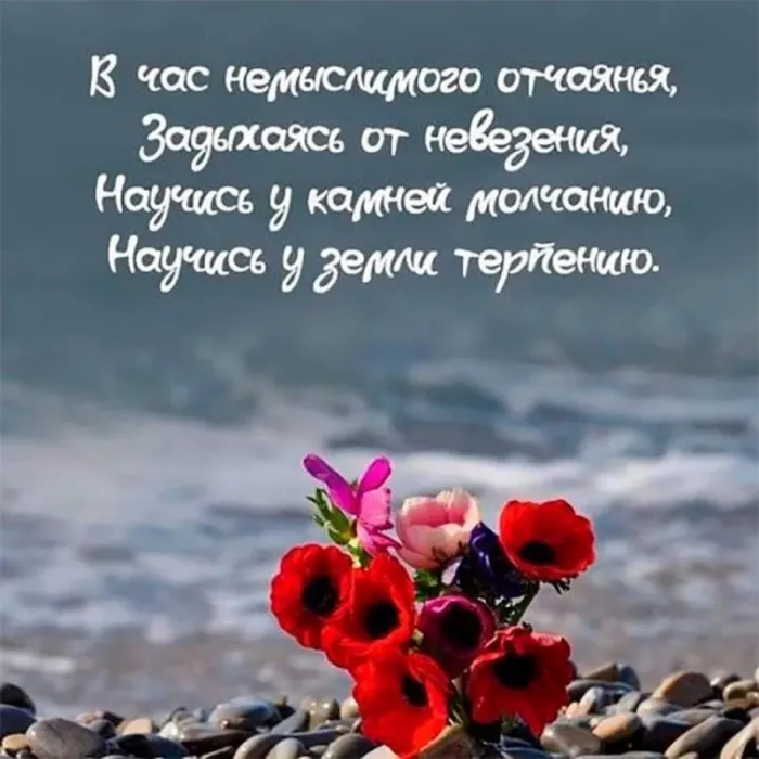 Все будет хорошо — красивые картинки. Все будет хорошо — картинки со смыслом