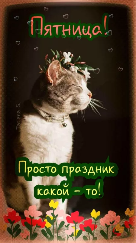 С Пятницей — картинки красивые. Пятница — &nbsp;красивые картинки