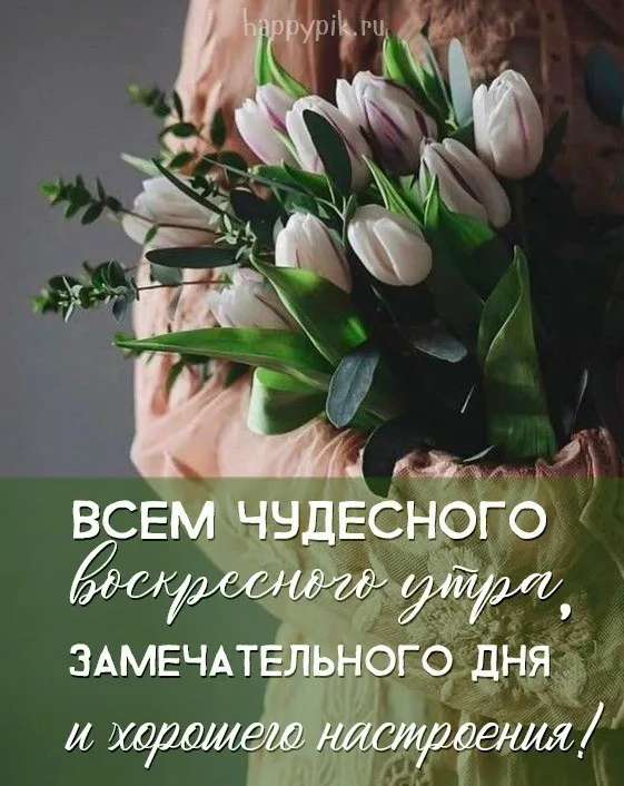 Красивые картинки с Добрым утром воскресенья. Красивые картинки Доброе утро воскресенья