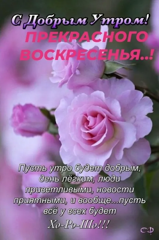Красивые картинки с Добрым утром воскресенья. Красивые картинки Доброе утро воскресенья
