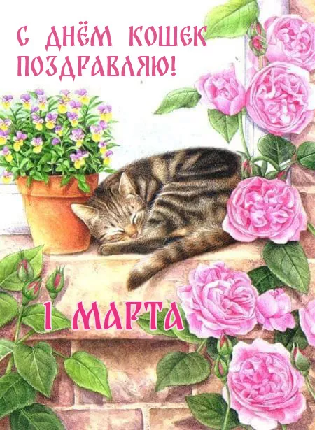 Красивые картинки с Днем кошек