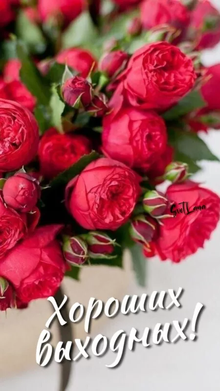 Картинки "Хороших выходных". Картинки Хороших выходных: красивые и новые
