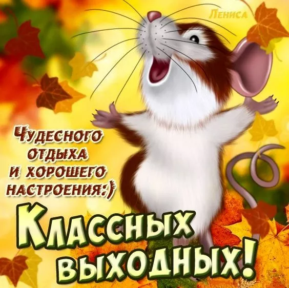 Картинки "Хороших выходных". Хороших выходных прикольные и смешные картинки