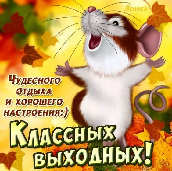 Картинки "Хороших выходных". Хороших выходных прикольные и смешные картинки