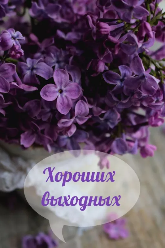 Картинки "Хороших выходных". Картинки Хороших выходных: красивые и новые