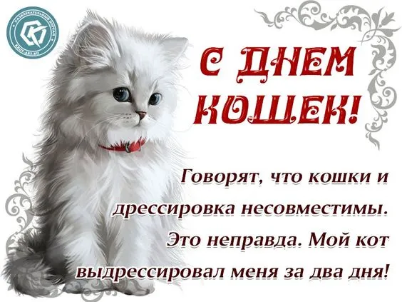 Красивые картинки с Днем кошек. Красивые картинки на День кошек: с надписями и поздравлениями