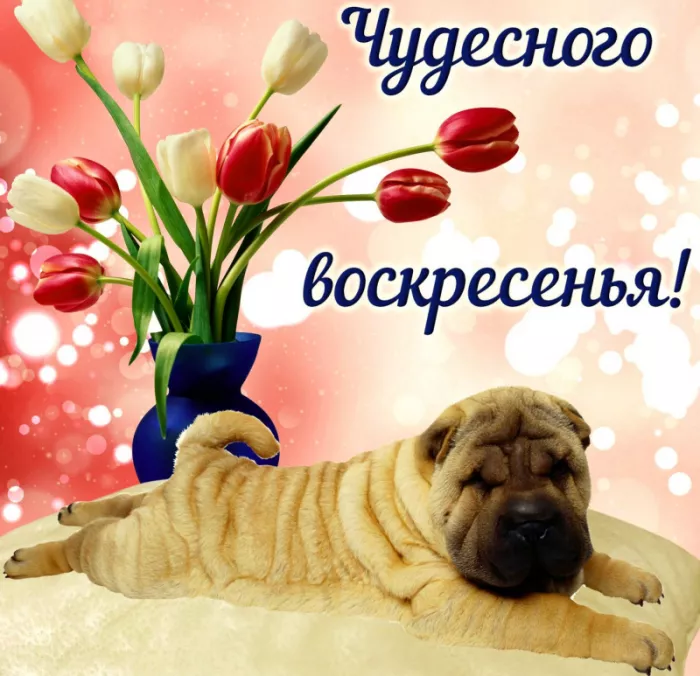 Красивые картинки с Добрым утром воскресенья. Доброе утро, воскресенье - картинки с пожеланиями