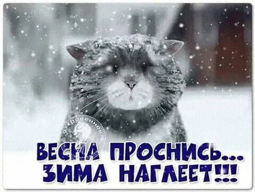 Картинки с Первым днем весны. Прикольные картинки с Первым днем весны