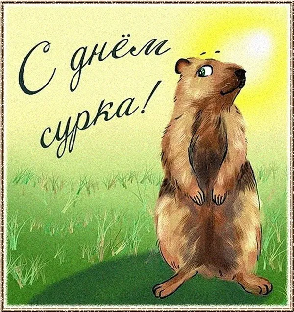Картинки с Днем сурка. Картинки День сурка: прикольные и смешные