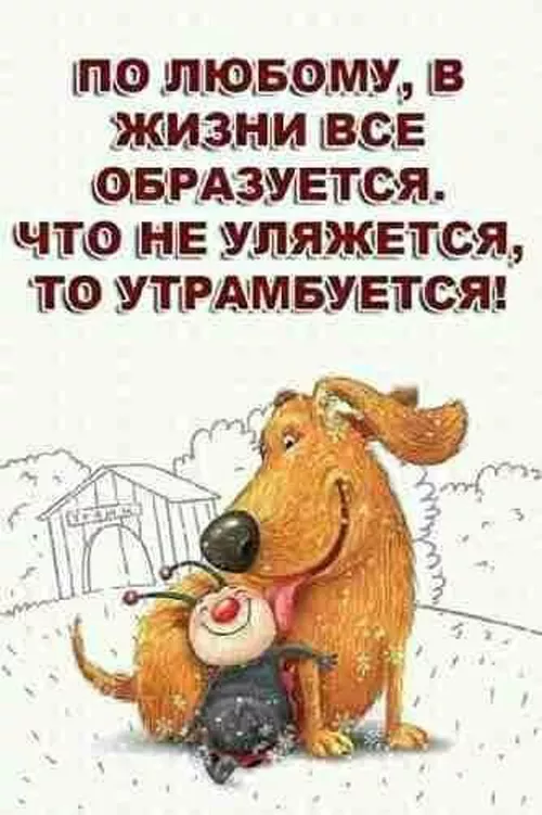 Картинки с Днем оптимиста. Позитивные картинки на День оптимиста: мотиваторы