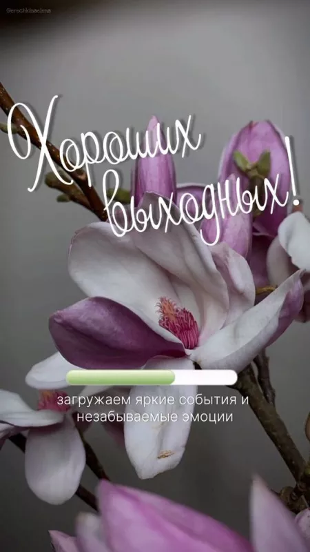 Картинки "Хороших выходных". Картинки Хороших выходных: красивые и новые