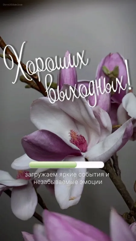 Картинки "Хороших выходных". Картинки Хороших выходных: красивые и новые