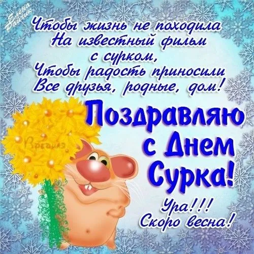 Картинки с Днем сурка. День сурка – картинки с надписями