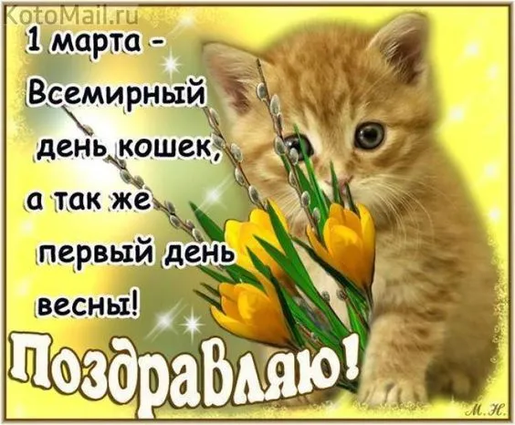 Красивые картинки с Днем кошек. Красивые картинки на День кошек: с надписями и поздравлениями