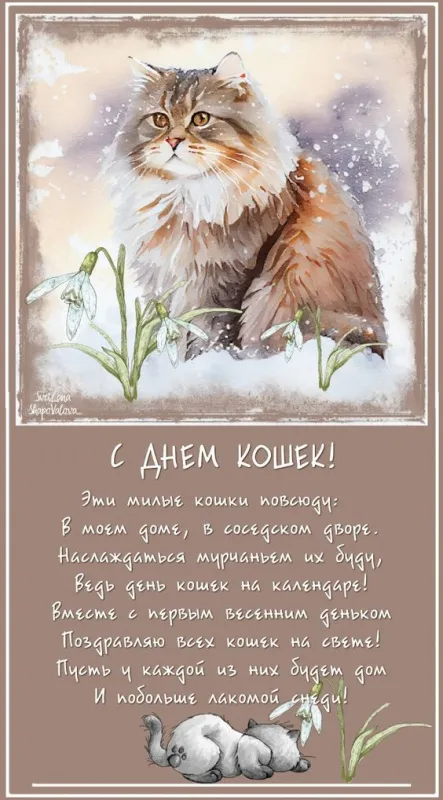 Красивые картинки с Днем кошек. Красивые картинки на День кошек: с надписями и поздравлениями