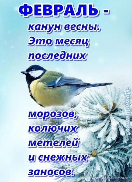 Красивые картинки Доброе утро февраля. Доброе утро февраля: красивые картинки