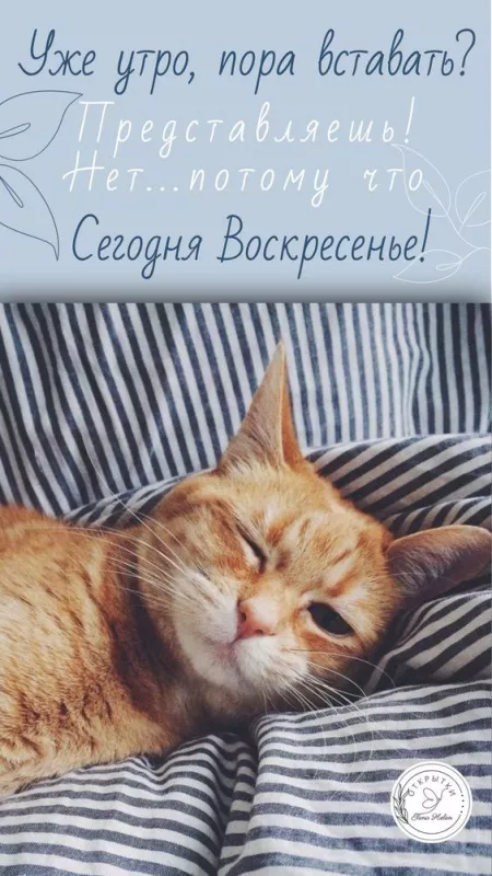 Красивые картинки с Добрым утром воскресенья. Доброе утро, воскресенье - картинки с пожеланиями