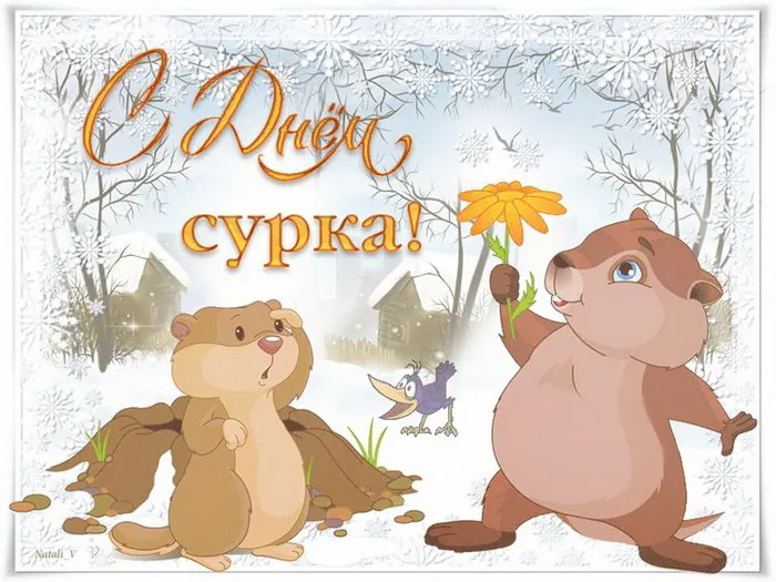 Картинки с Днем сурка. Картинки День сурка: прикольные и смешные