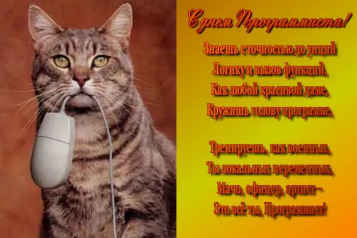 С Днем компьютерщика и программиста — прикольные картинки. С Днем компьютерщика и программиста: картинки с надписями и пожеланиями