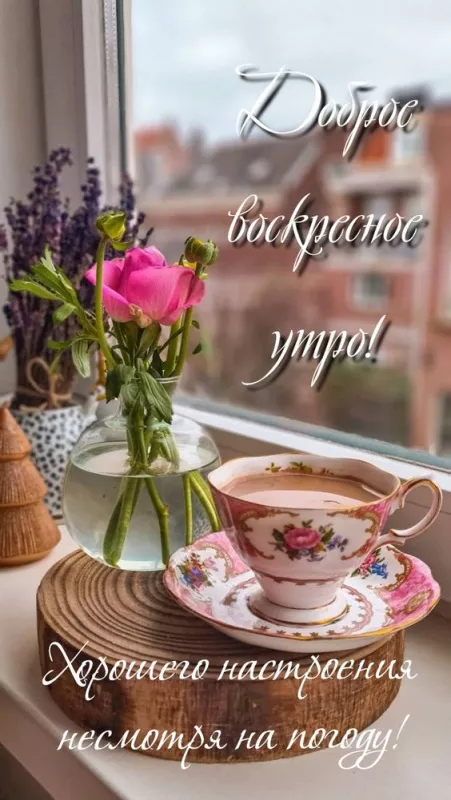 Красивые картинки с Добрым утром воскресенья. Красивые картинки Доброе утро воскресенья