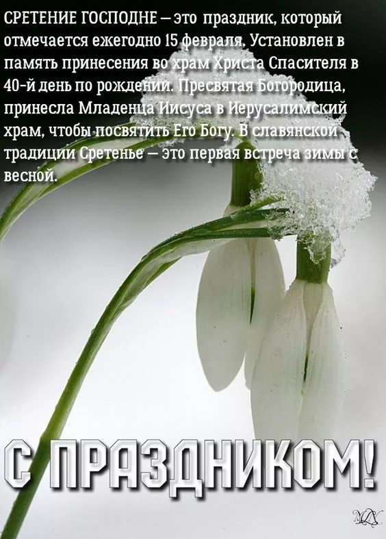 Красивые картинки со Сретением Господним. Со Сретением Господним — картинки с поздравлениями