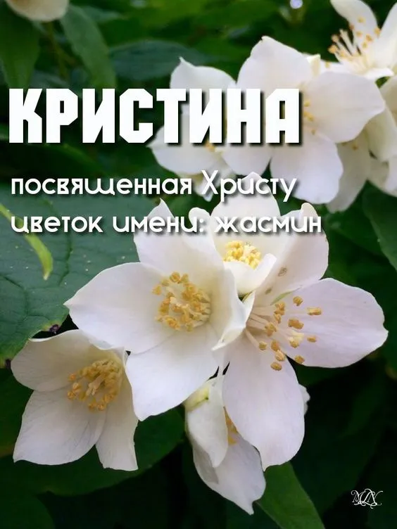 Картинки с Днем Ангела Кристины. Картинки с именинами Кристины — красивые и новые