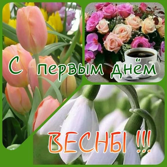 Картинки с Первым днем весны. Картинки С первым днем весны — красивые и новые