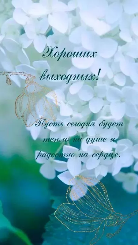Картинки "Хороших выходных". Картинки Хороших выходных: красивые и новые