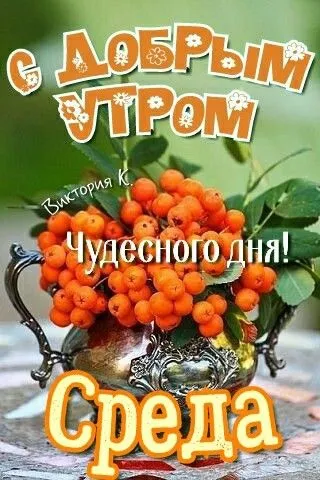 Картинки "Доброе утро среды". Красивые картинки с Добрым утром среды