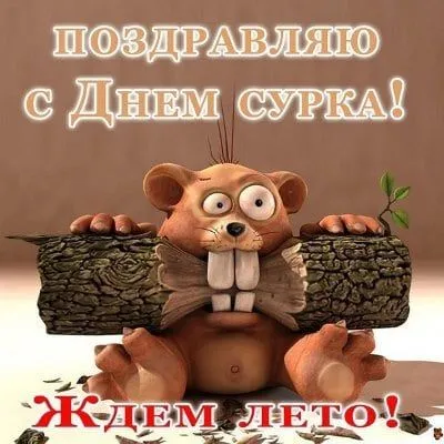 Картинки с Днем сурка. Картинки День сурка: прикольные и смешные