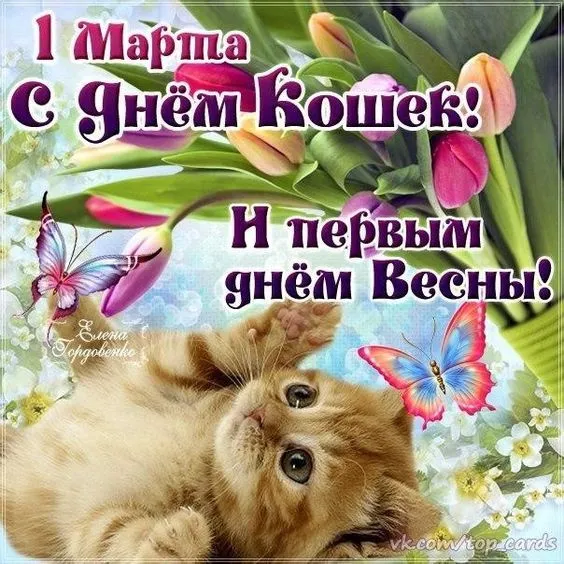 Красивые картинки с Днем кошек. Красивые картинки с Днём кошек