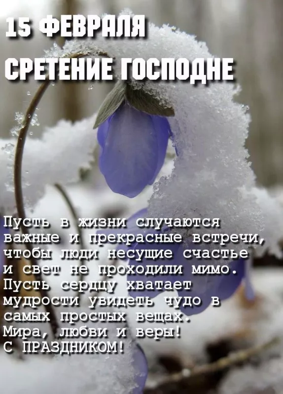 Красивые картинки со Сретением Господним. Со Сретением Господним — картинки с поздравлениями
