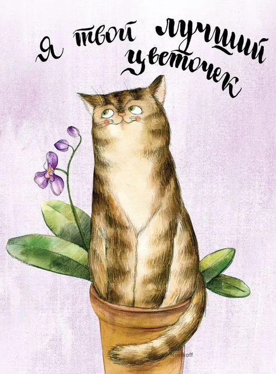 Красивые картинки с Днем кошек. Картинки с Днём кошек прикольные