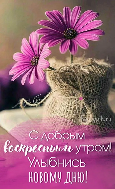 Красивые картинки с Добрым утром воскресенья. Красивые картинки Доброе утро воскресенья