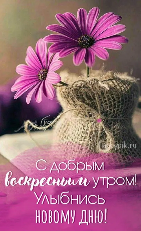 Красивые картинки с Добрым утром воскресенья. Красивые картинки Доброе утро воскресенья