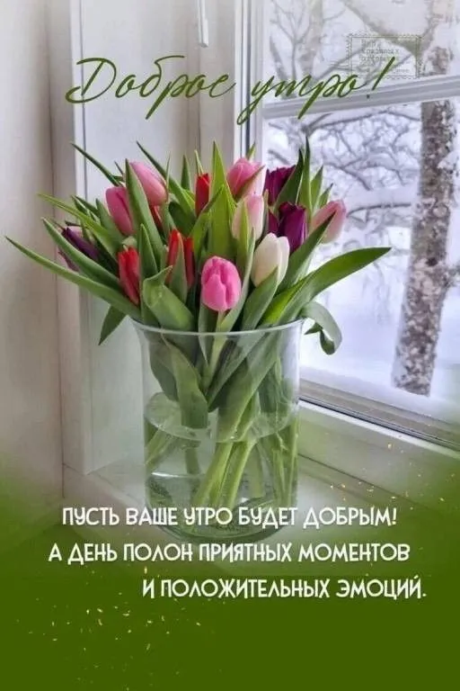 Красивые картинки С добрым весенним утром. Доброго утра и весеннего настроения: картинки с пожеланиями