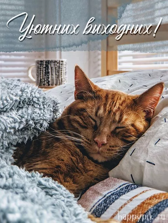 Картинки "Хороших выходных". Хороших выходных прикольные и смешные картинки