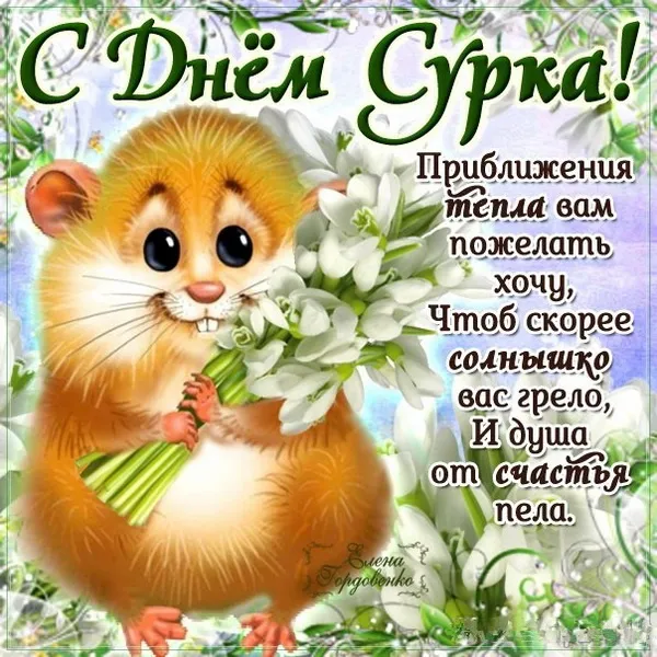Картинки с Днем сурка. День сурка – картинки с надписями