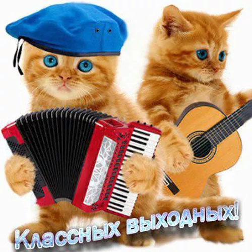 Картинки "Хороших выходных". Хороших выходных прикольные и смешные картинки