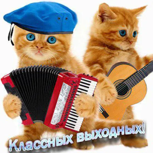 Картинки "Хороших выходных". Хороших выходных прикольные и смешные картинки
