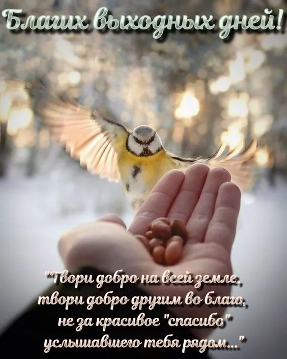 Картинки "Хороших выходных". Хороших выходных: позитивные картинки