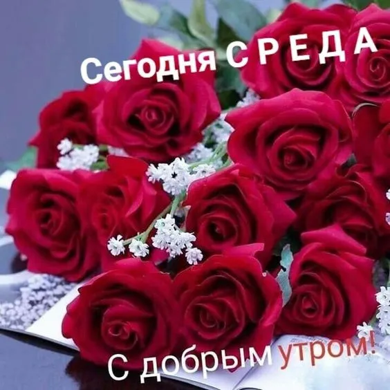 Картинки "Доброе утро среды". Красивые картинки с Добрым утром среды