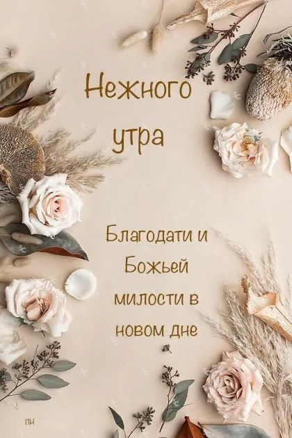 Красивые картинки с Днем нежности. Красивые картинки С Днем нежности с надписями